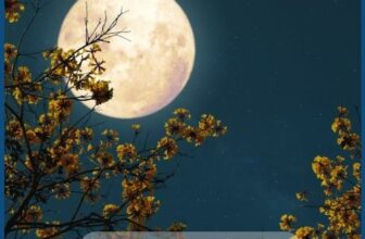 slecht-slapen-tijdens-volle-maan