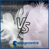 Wat is beter eendendons of ganzendons dekbed?