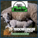 Het verschil tussen texeler en terschellinger dekbed!