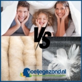 Wat is Beter: Wol of Dons Dekbed?